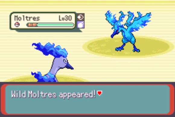 1758869595903783.jpg 21145758kvo1.jpg