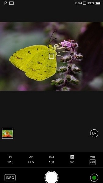 ImageSync 2.1.27 最新版 2