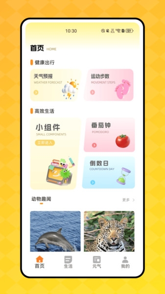 顶萌小组件 1.0.0 官方版 1