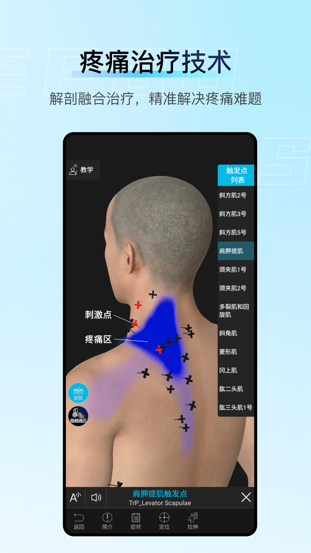 解剖大师 5.1.0 手机版 1