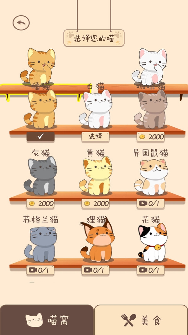 夏天的乐队 1.0.1 安卓版 2