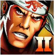 武士2复仇汉化版
