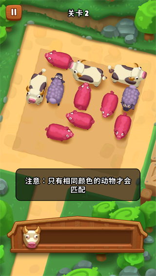 动物操作