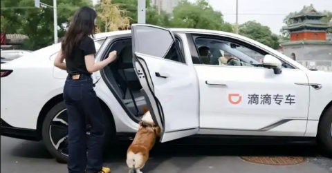 可以带宠物的打车软件