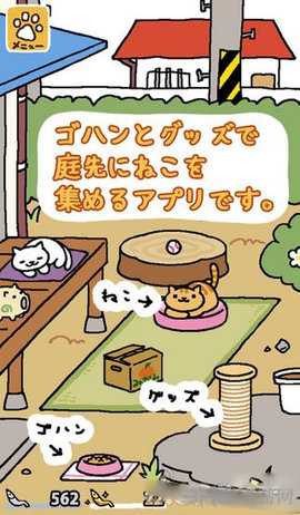 猫咪后院日语版 1.14.4 官方版 2