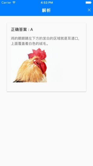 乐趣答题 526.101 安卓版 1