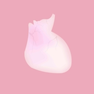 生命life中文版 1.0 安卓版