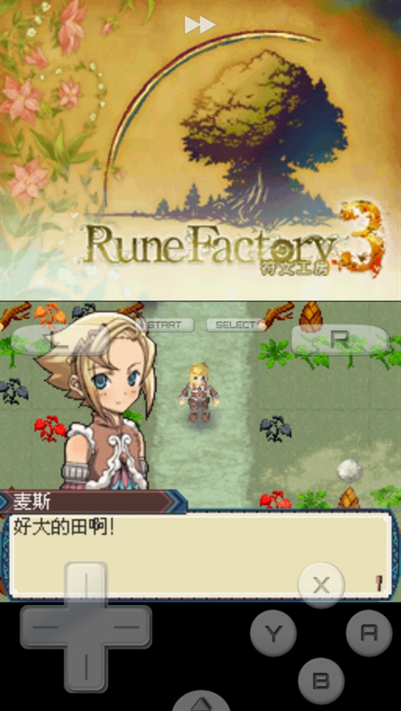 符文工房3 r2.5.2.2a 安卓版 0