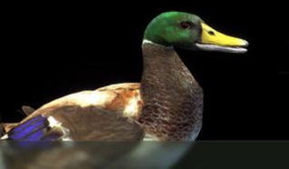 1762305792111932.png screenshot_2025-11-05_09-23-06.png