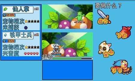 宠物王国5彩虹 7.6 安卓版 1