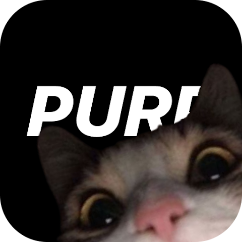 purp 4.4.3 最新版