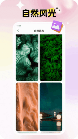 灵蝶壁纸 1.0.0 安卓版 3