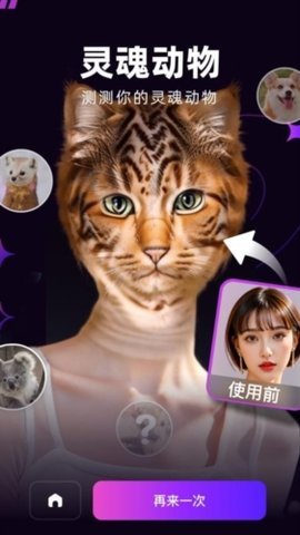 泡福 1.1.8 安卓版 1