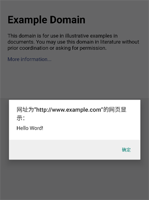 怎么安装油猴脚本截图6