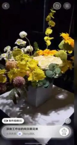 Remy 1.1 安卓版 2