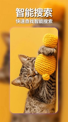 壁纸宝盒 1.0.4 安卓版 1