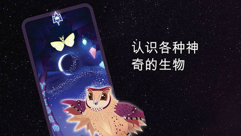 彩翼之星夜 2.242 最新版 1