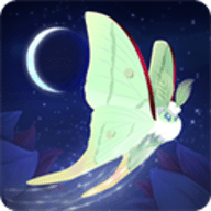 彩翼之星夜破解版