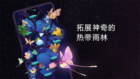 彩翼之星夜 2.242 最新版 2