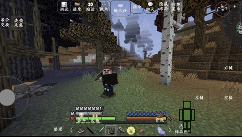 我的世界模拟人生 1.16.5 最新版 1