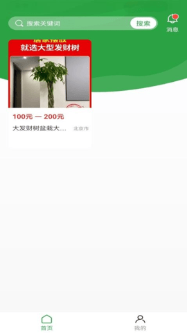 苗木嘉 1.0.0 安卓版 2