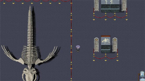 白夜博物馆 1.20.611 安卓版 3