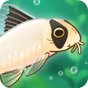 池趣 1.18.7 安卓版