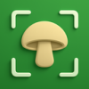 识菇鉴菌 1.0.7 官方版