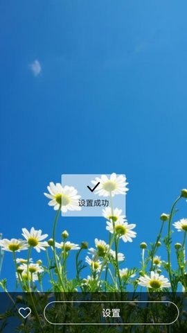 秀秀壁纸 1.0.0 安卓版 3