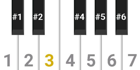 蛋仔派对简谱钢琴 9009 安卓版 3