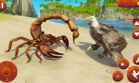 野生鸟类生活模拟器 1.22 安卓版 1