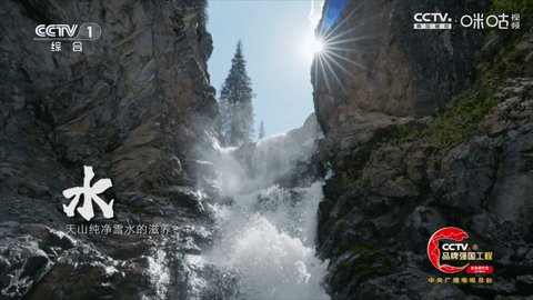 冰茶订阅专用TV版 Py1.7.4.1_节目列表已加宽增加视频播放倍速功能美化版 安卓版 2