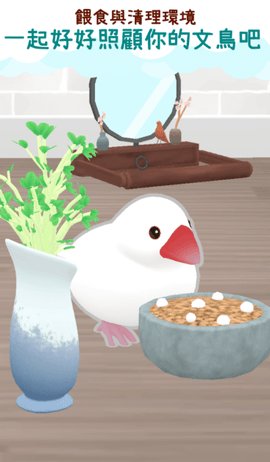 文鸟物语 1.1.1 安卓版 2