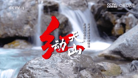 冰茶订阅专用TV版 Py1.7.4.1_节目列表已加宽增加视频播放倍速功能美化版 安卓版 1