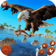 野生鸟类生活模拟器 1.22 安卓版