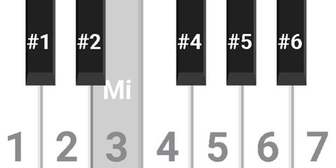 蛋仔派对简谱钢琴 9009 安卓版 2