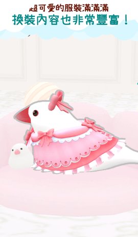 文鸟物语 1.1.1 安卓版 1