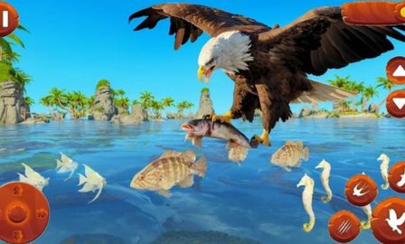 野生鸟类生活模拟器 1.22 安卓版 2