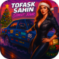 大师驾驶街头之旅 1.0 安卓版