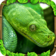 蟒蛇模拟器 1.5 安卓版