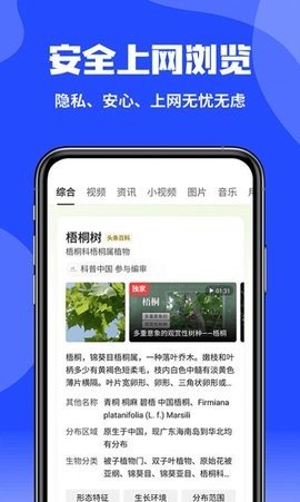 CCAV 1.0.0 安卓版 2