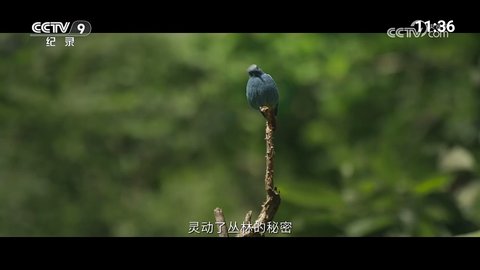 超爱TV 1.1.0 安卓版 1