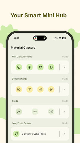 Material Capsule 11.4 安卓版 3
