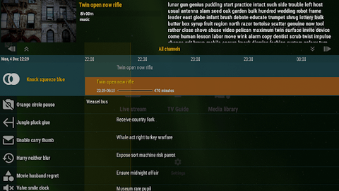 OTT Player 1.7.3.3 安卓版 1