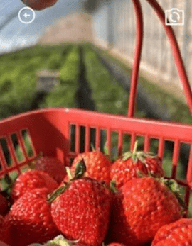 云清工具盒子 1.0.0 安卓版 1