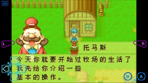 牧场物语矿石镇的伙伴们 2.0.0 免费版 3