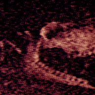 铁肺汉化版 1.10 安卓版