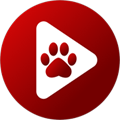 BearPlayer 2.20.19 安卓版