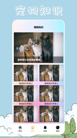 桌面宠物壁纸 1.4 安卓版 3