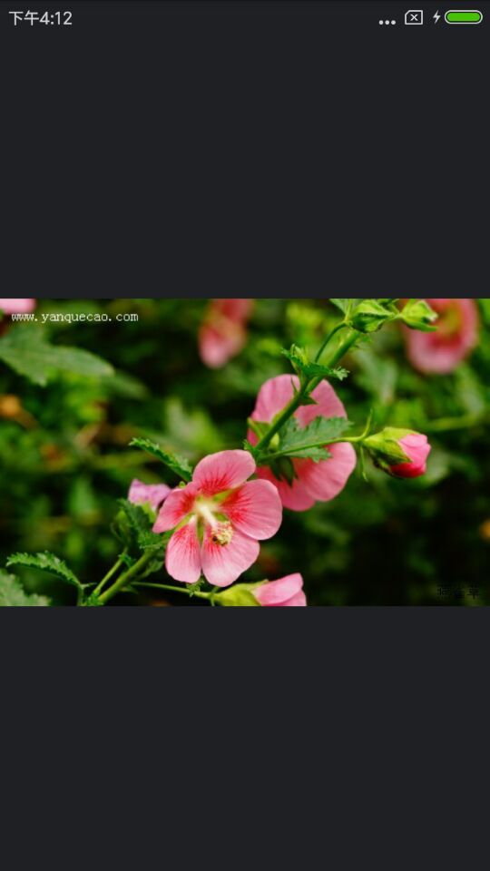 植物百科 v3.2.3 安卓版 4